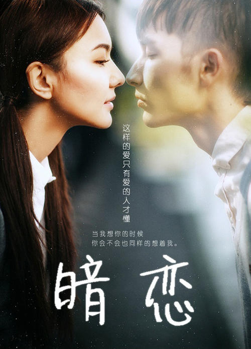 购买土耳其驾驶证